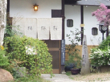 VX